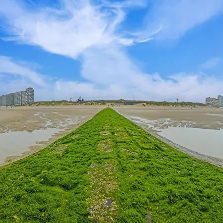 In Near Sandy Middelkerke