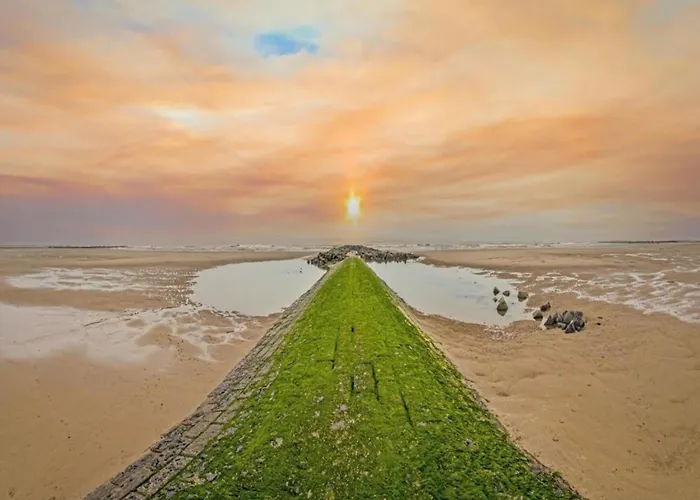 Apartamento In Near Sandy *